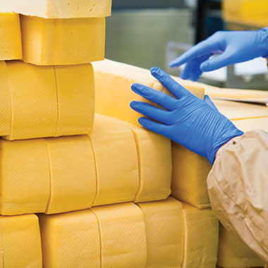 Een medewerker stapelt blokken kaas in een zuivelfabriek. In de zuivelindustrie kunnen TOC-analysers helpen bij het bewaken van organisch afval in effluent en het verminderen van productverlies.